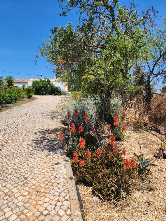 Quinta Das Amendoas Carvoeiro  Buitenkant foto